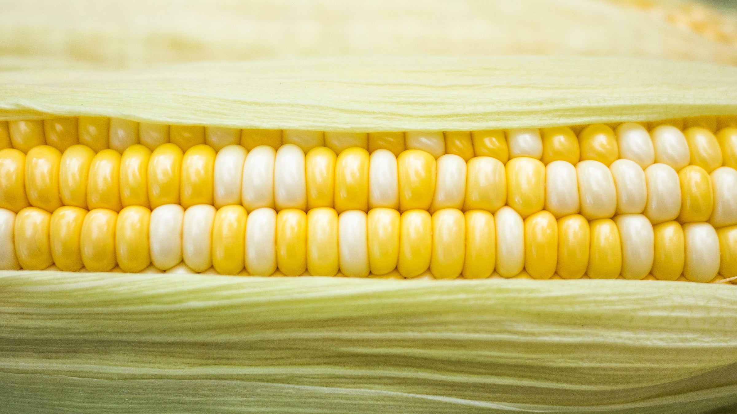 corn on the side