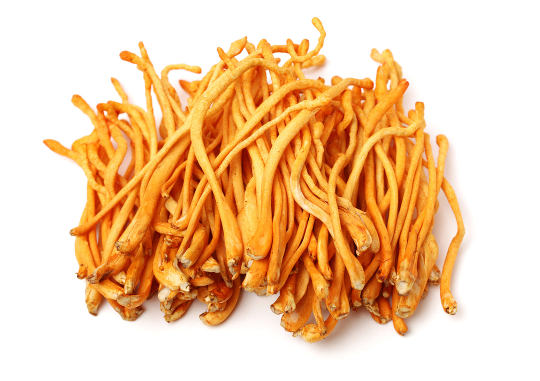 The Ultimate Guide to Cordyceps: Benefits, Research, and More