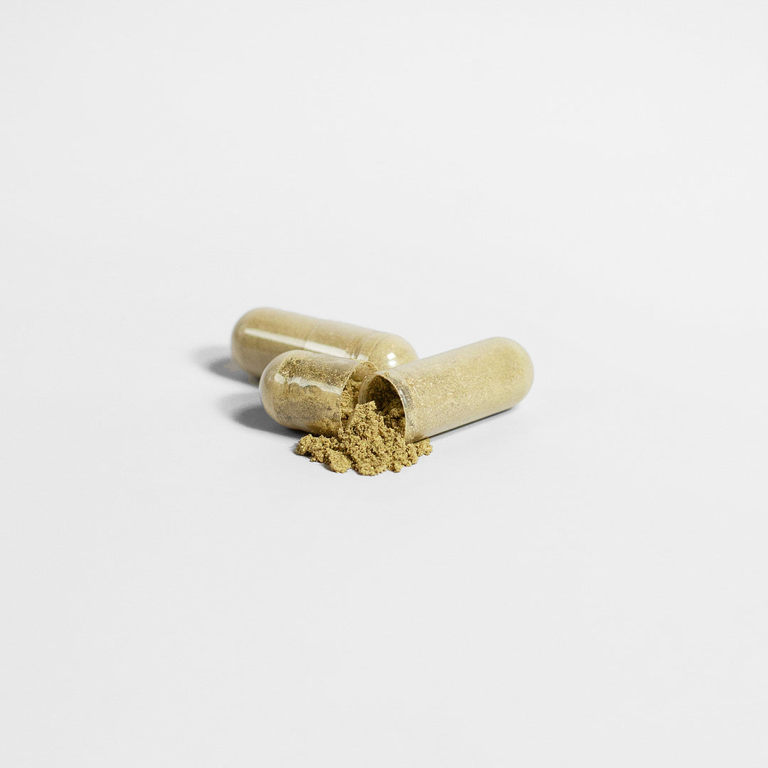 Two partially open capsules with light brown powder, rich in Moringa Pure - Enhance Cellular Health by GreenHat, spilling out isolated on a white background.