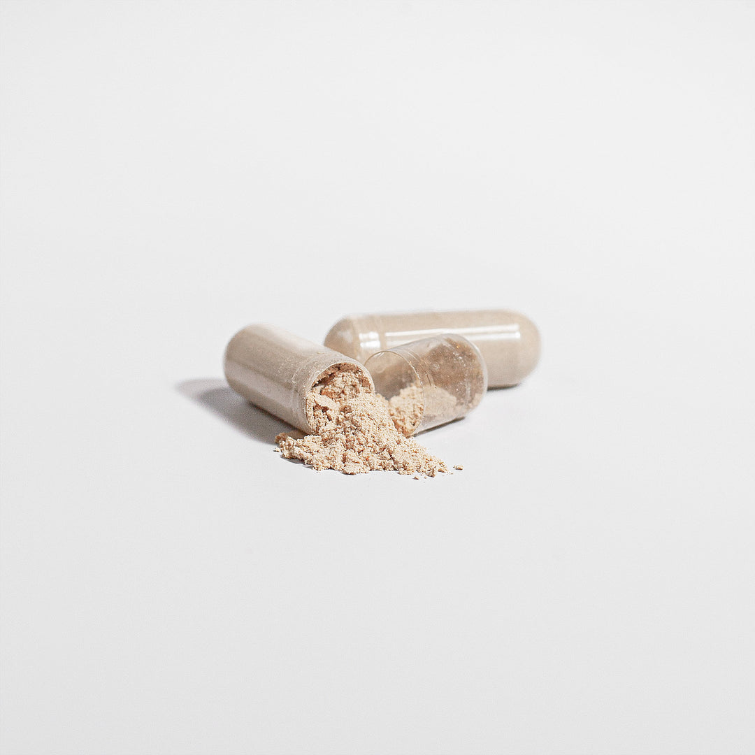 Two capsules, one partly open, reveal a spill of beige powder on a plain white background, suggesting the brain health benefits of GreenHat's Lion's Mane Mushroom - Cognitive Enhancement supplement.